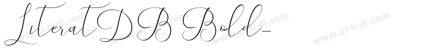 LiteratDB Bold字体转换